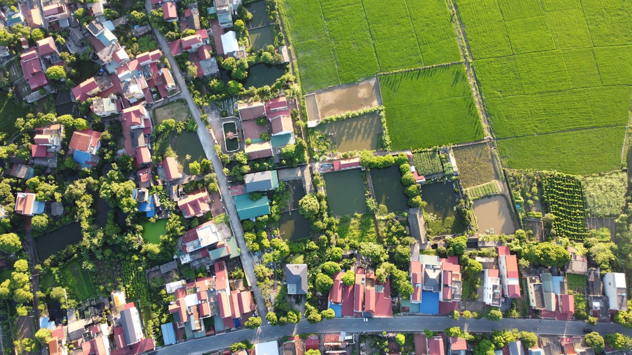 How to Verify Land Ownership in Cameroon (Avoid Costly Mistakes)